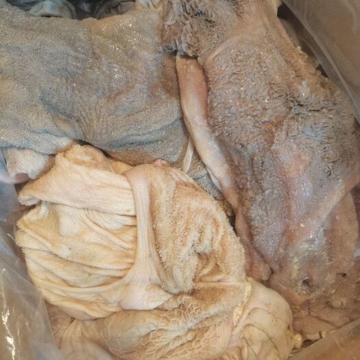 通辽羊黄毛肚