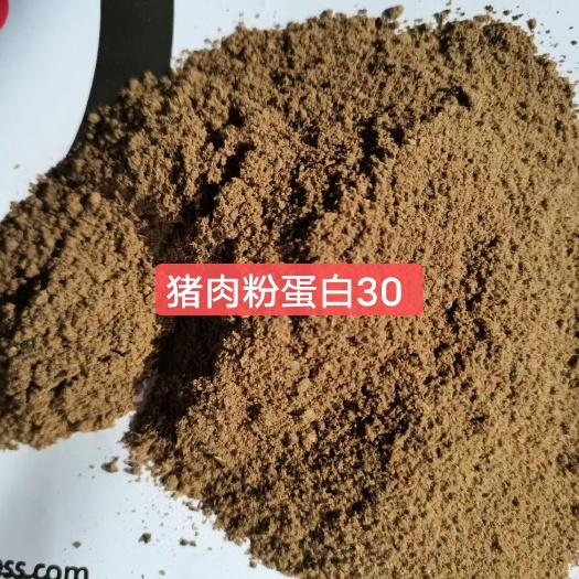 太原动物蛋白，猪肉粉多用于水产饲料，等饲料添加