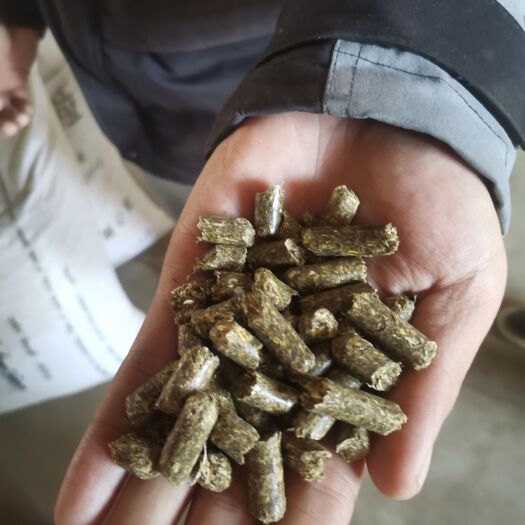 阿旗苜蓿颗粒