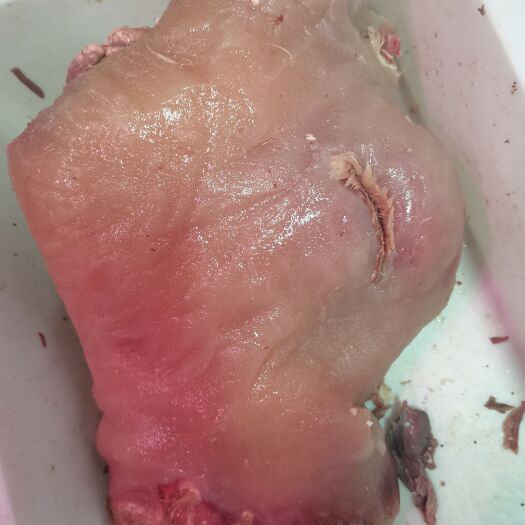 沈阳新鲜牛头肉  八分熟