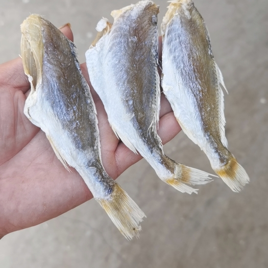 北海去下巴黄花鱼 滑仔鱼干 鱼干