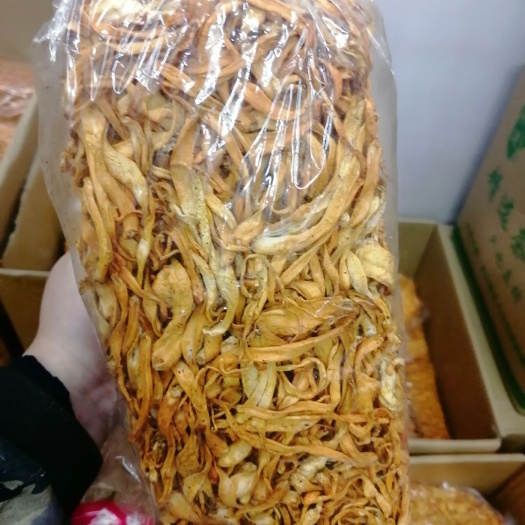 虫草花 金虫草 蛹虫草 虫草菇大货批发 一手货源批发