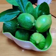 巍山县香水柠檬
