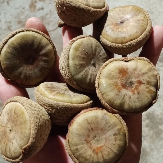 封开县风流果