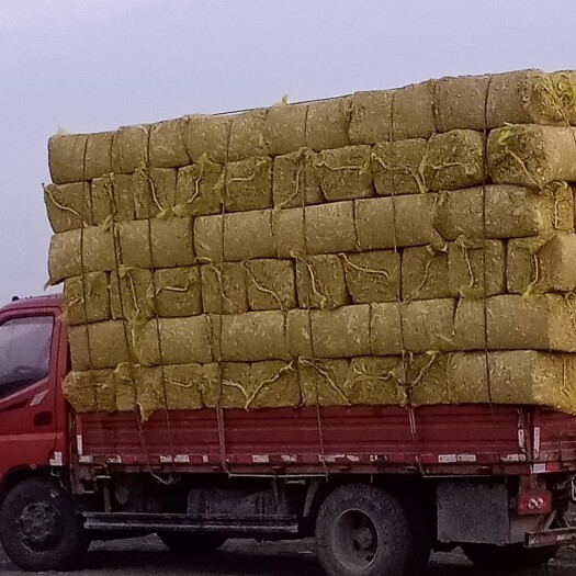 铁岭县人工铡段玉米秸秆草块