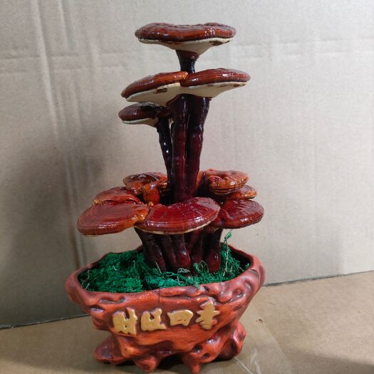 冠县灵芝盆栽办公室摆件灵芝造型盆景趣味创意装饰