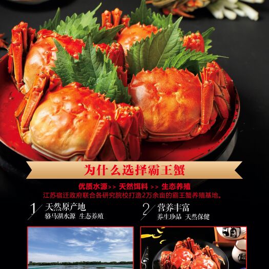 珠海江苏大闸蟹