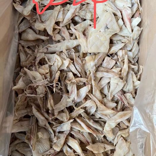 连州市鱿鱼肚子，鱿鱼须