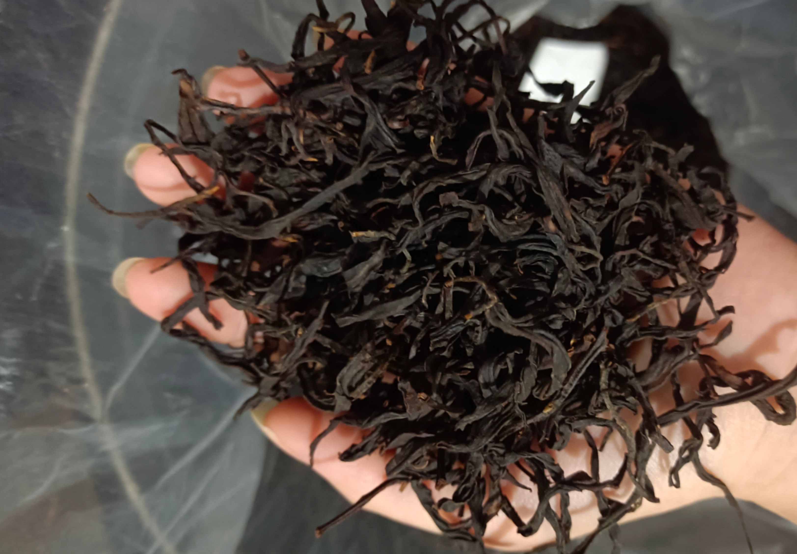 茶叶，潮州凤凰单丛茶