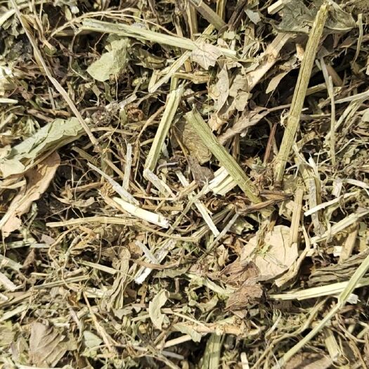 唐河县花生秧
