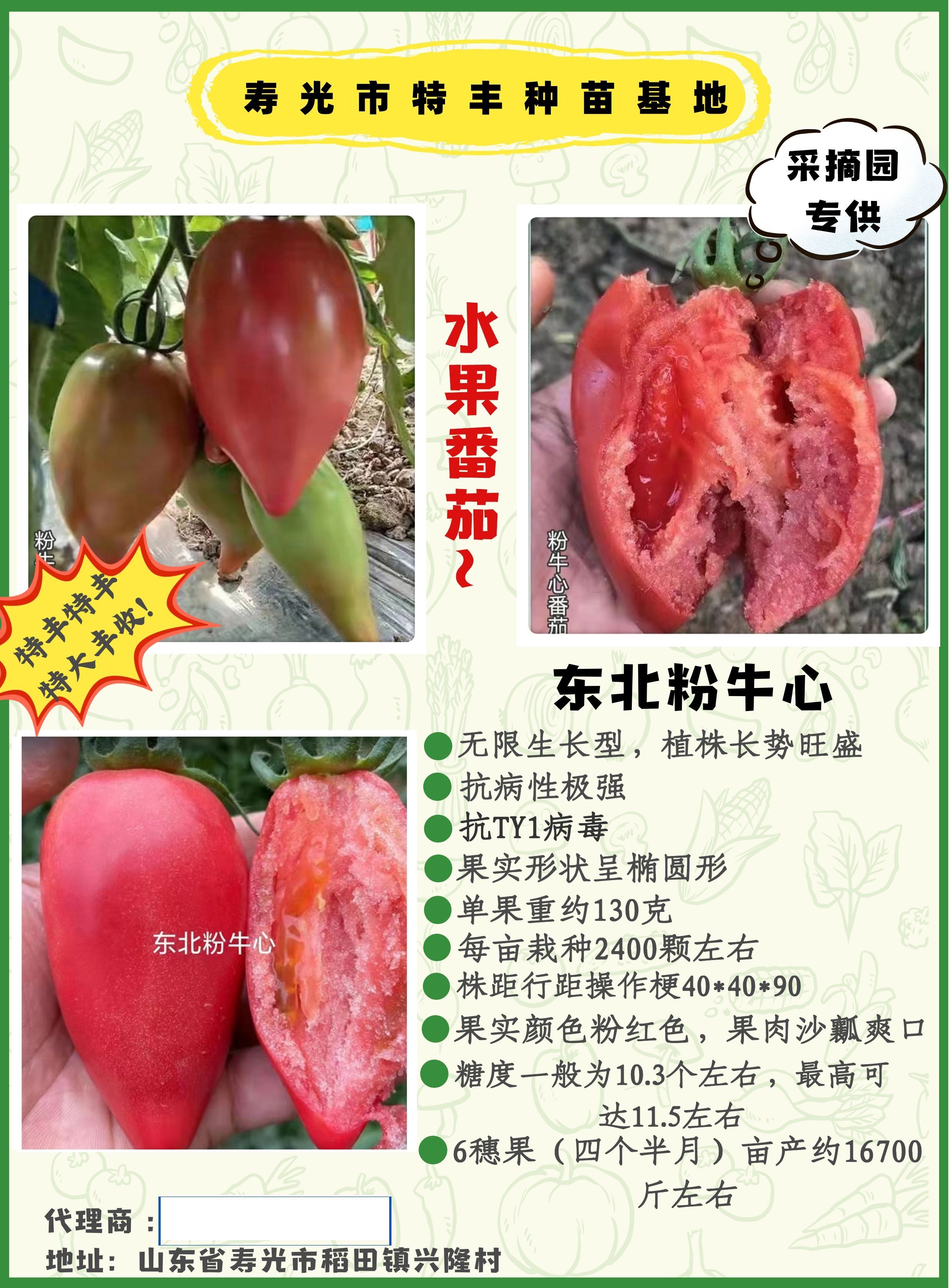 东北粉牛心，口感沙瓤，酸甜可口
