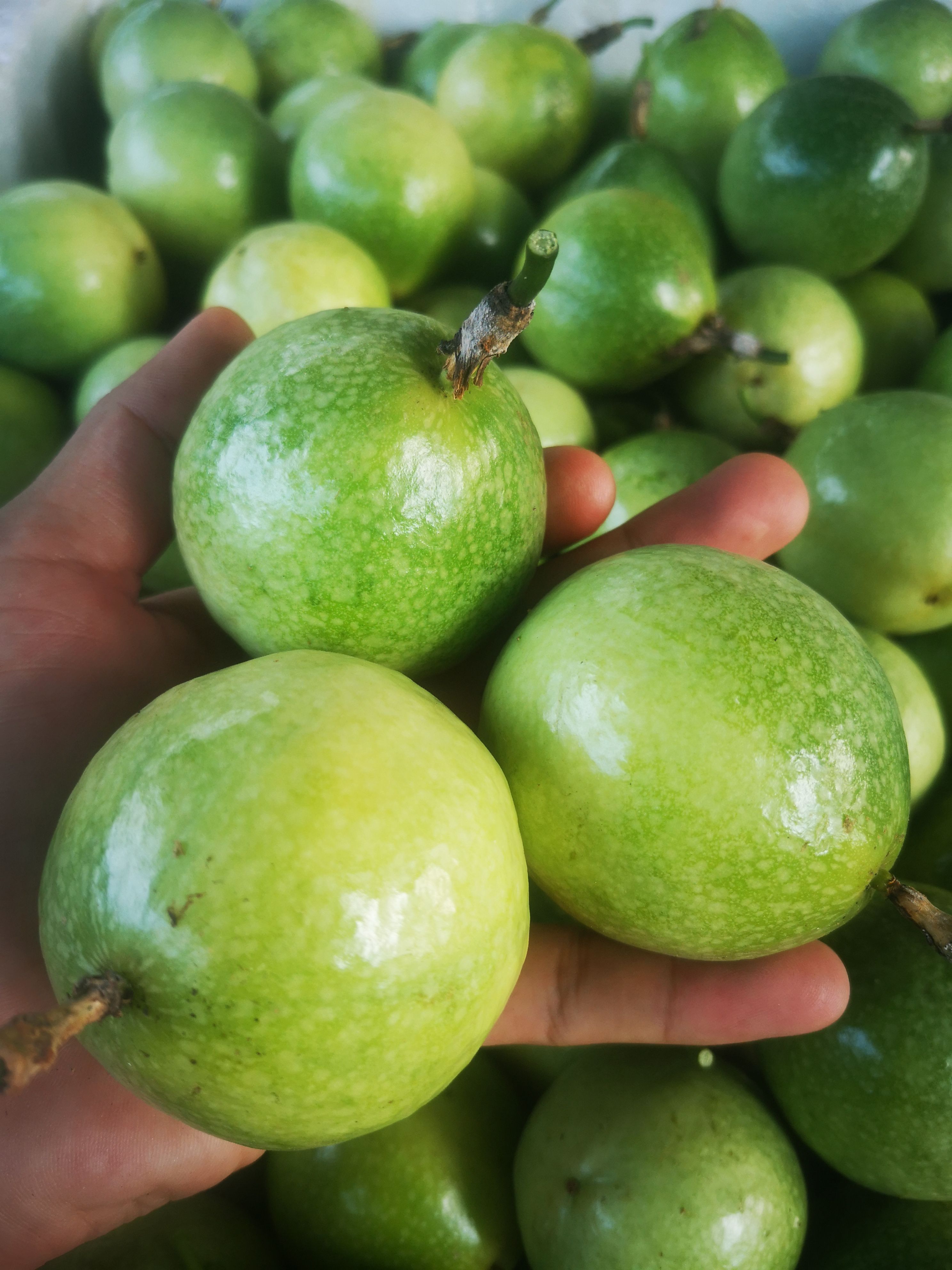 黄金百香果钦蜜9号