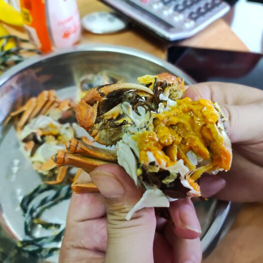 珠海来自项羽故乡的江苏大闸蟹空投在珠海，全城稀缺50规格交货