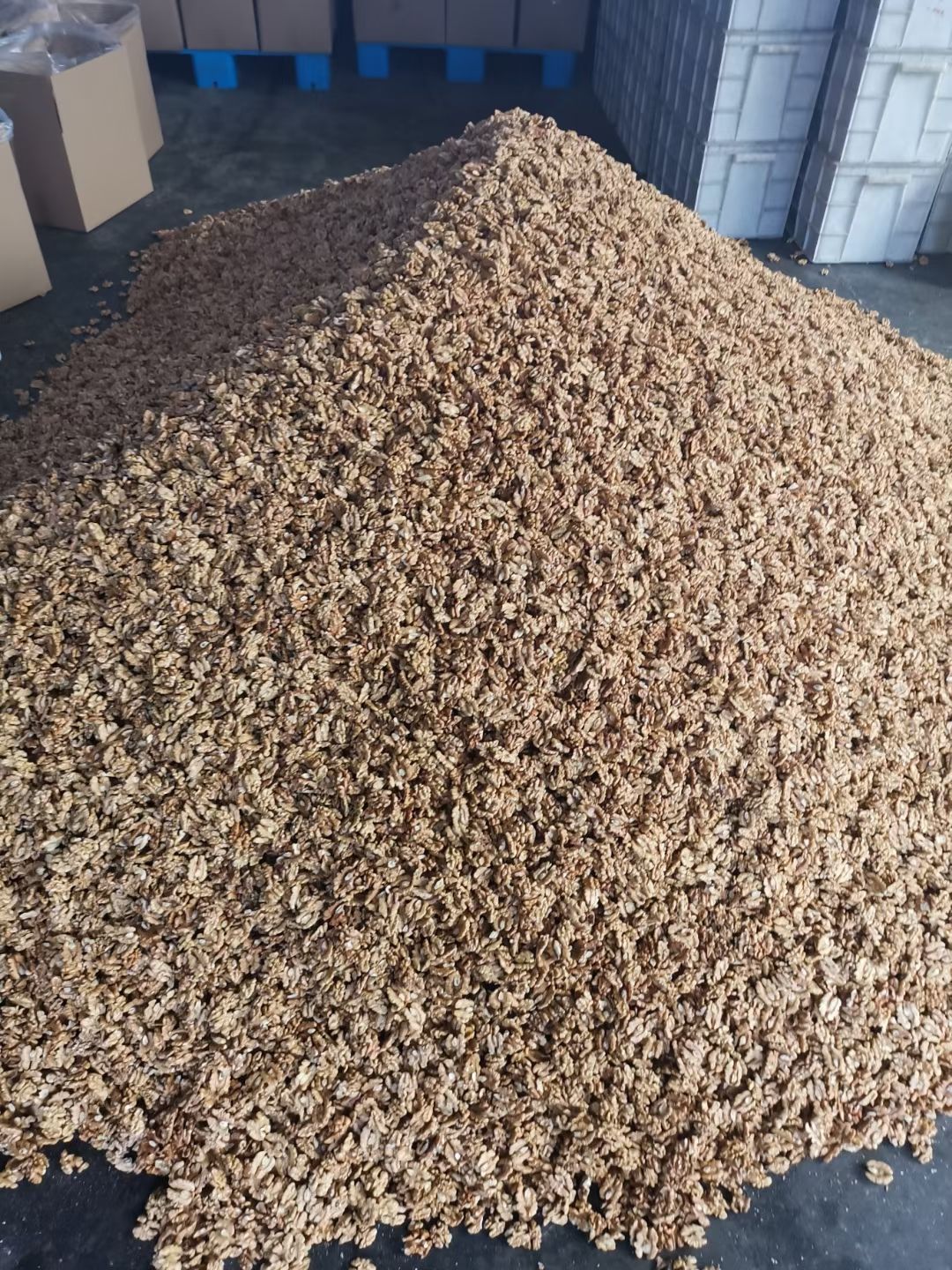 新疆185尖普白头路核桃仁，个大仁饱满