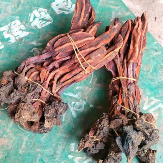 景谷县云南回春草