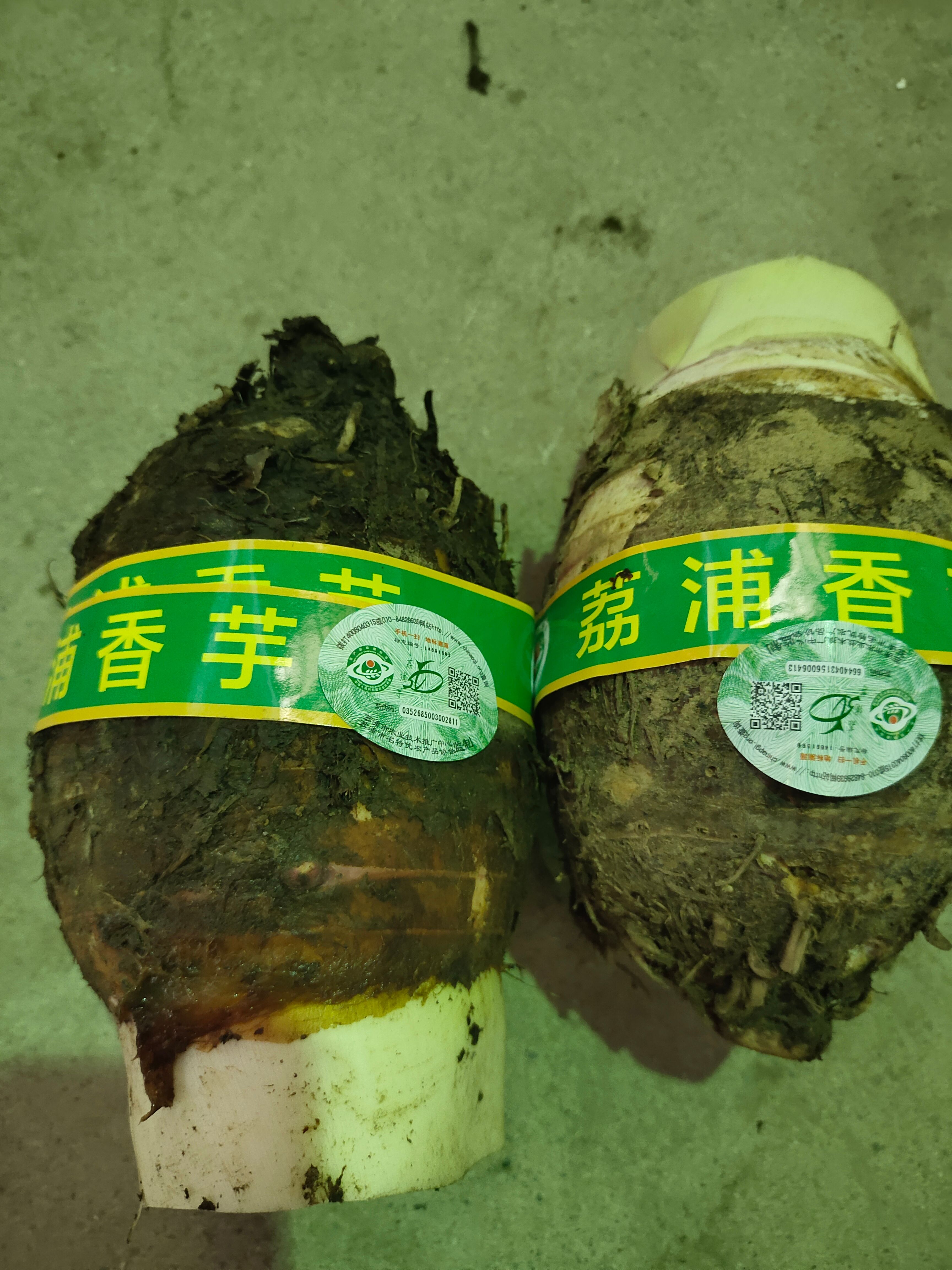 荔浦市荔浦芋头香芋产地直销香软粉糯，保质保量一件代发，欢迎老板选购