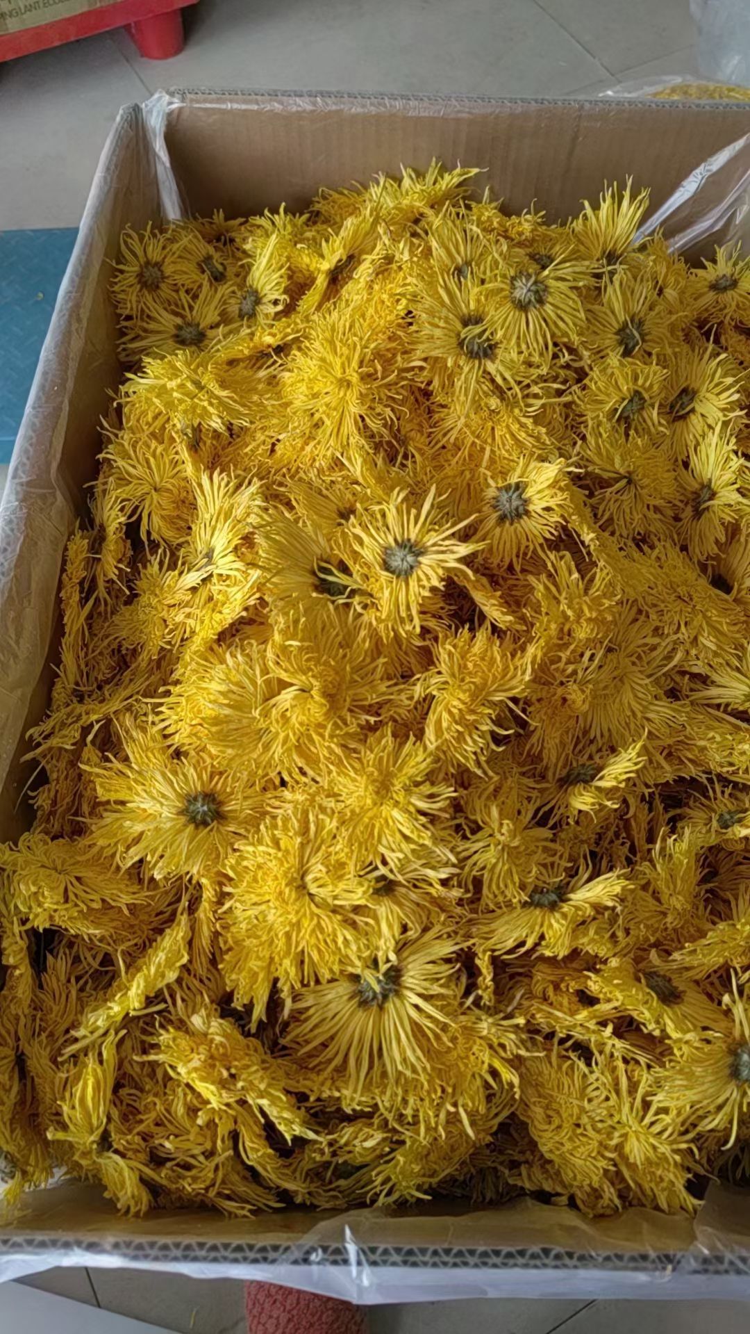 花草茶  金丝皇菊  (花茶)新货，量大从优