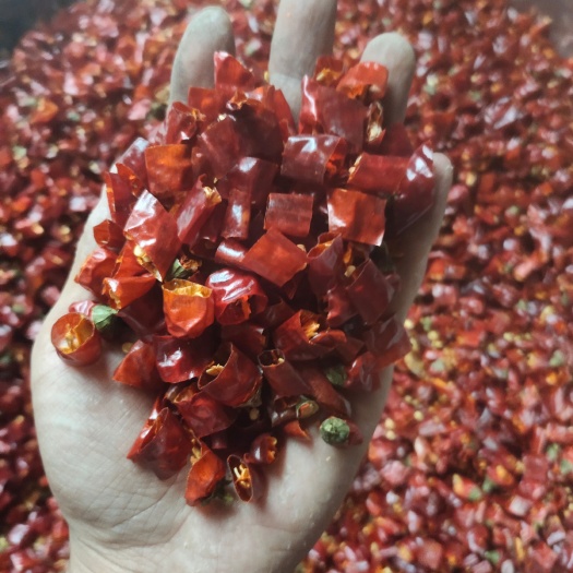 遵义贵州辣椒节子产地批发节子辣椒辣椒段高辣中辣微辣特香辣椒批发