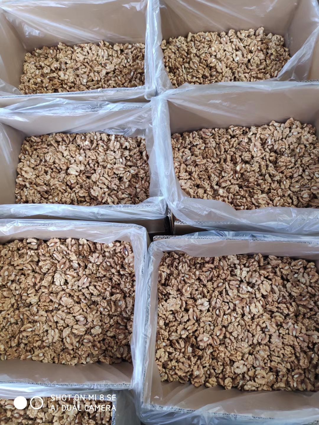 新疆185尖普白头路核桃仁，个大仁饱满