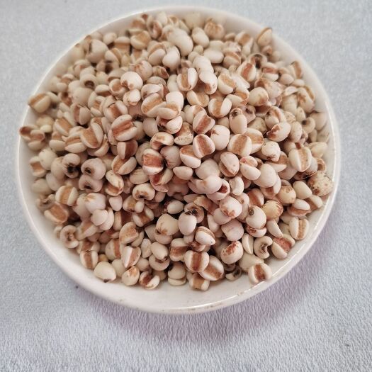 薏米 中藥材批發(fā)薏米仁薏苡仁現(xiàn)貨批發(fā)多種規(guī)格量大從優(yōu)