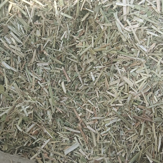 西平县袋装花生秧