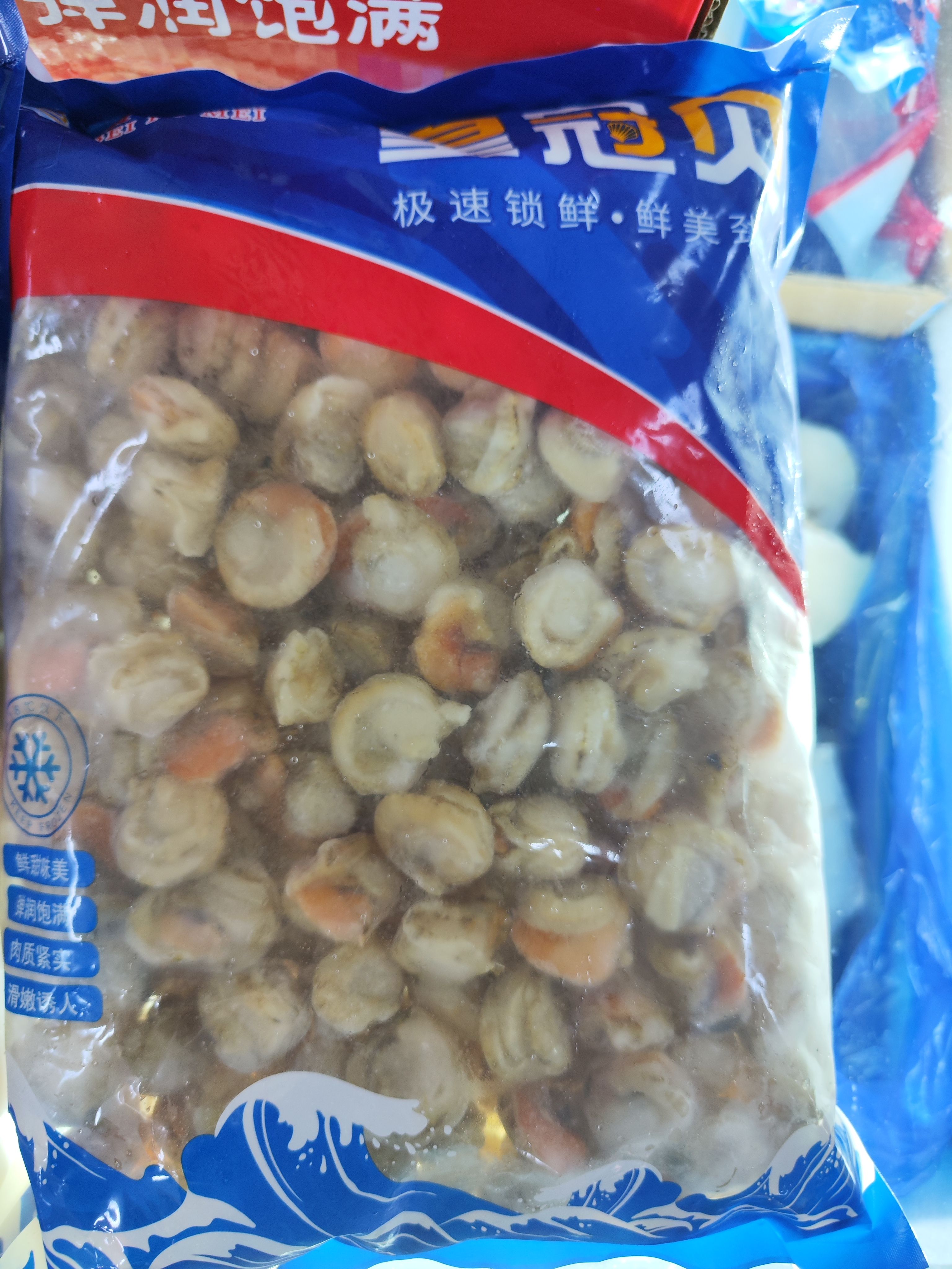 长岛扇贝肉 各种规格 扇贝肉