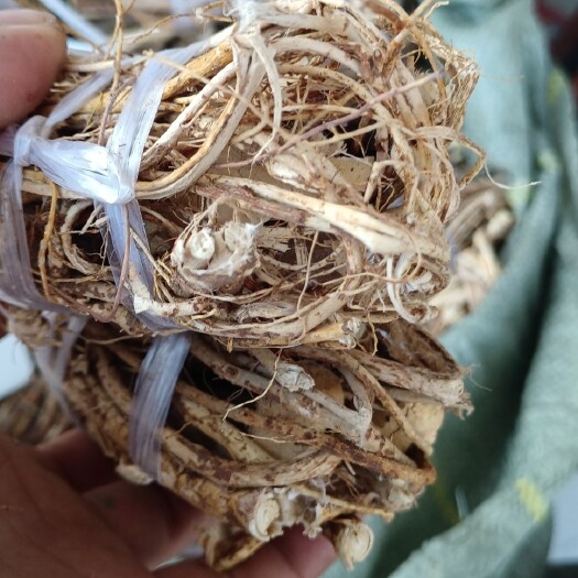 钟山县广西大山五指毛桃！手工捆绑小扎把！自然晒干，无硫！椰香味纯正