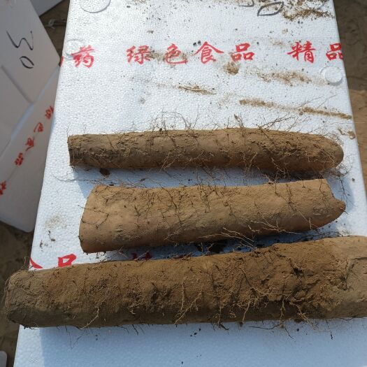 大名县白玉山药各种规格都有货。