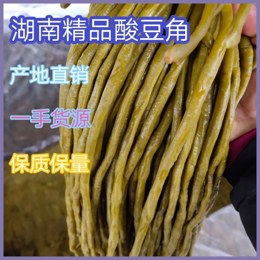 湖南酸豆角，源头好货，脆嫩，条形好，基地直发，欢迎合作