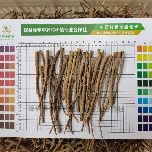 绛县柴胡-无头柴胡精品去头 去尾 去须根 去黑心。出口级柴胡