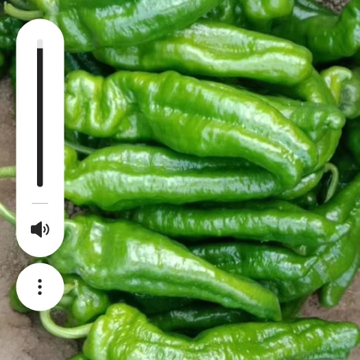 辣椒