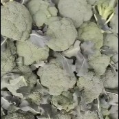 内黄县西兰花，产地直发，量大