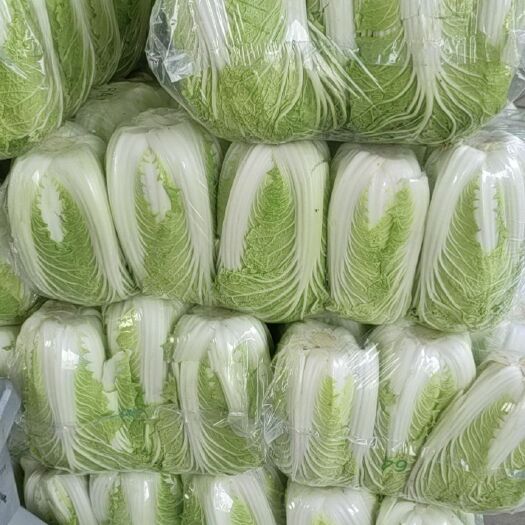 东台市秋宝白菜