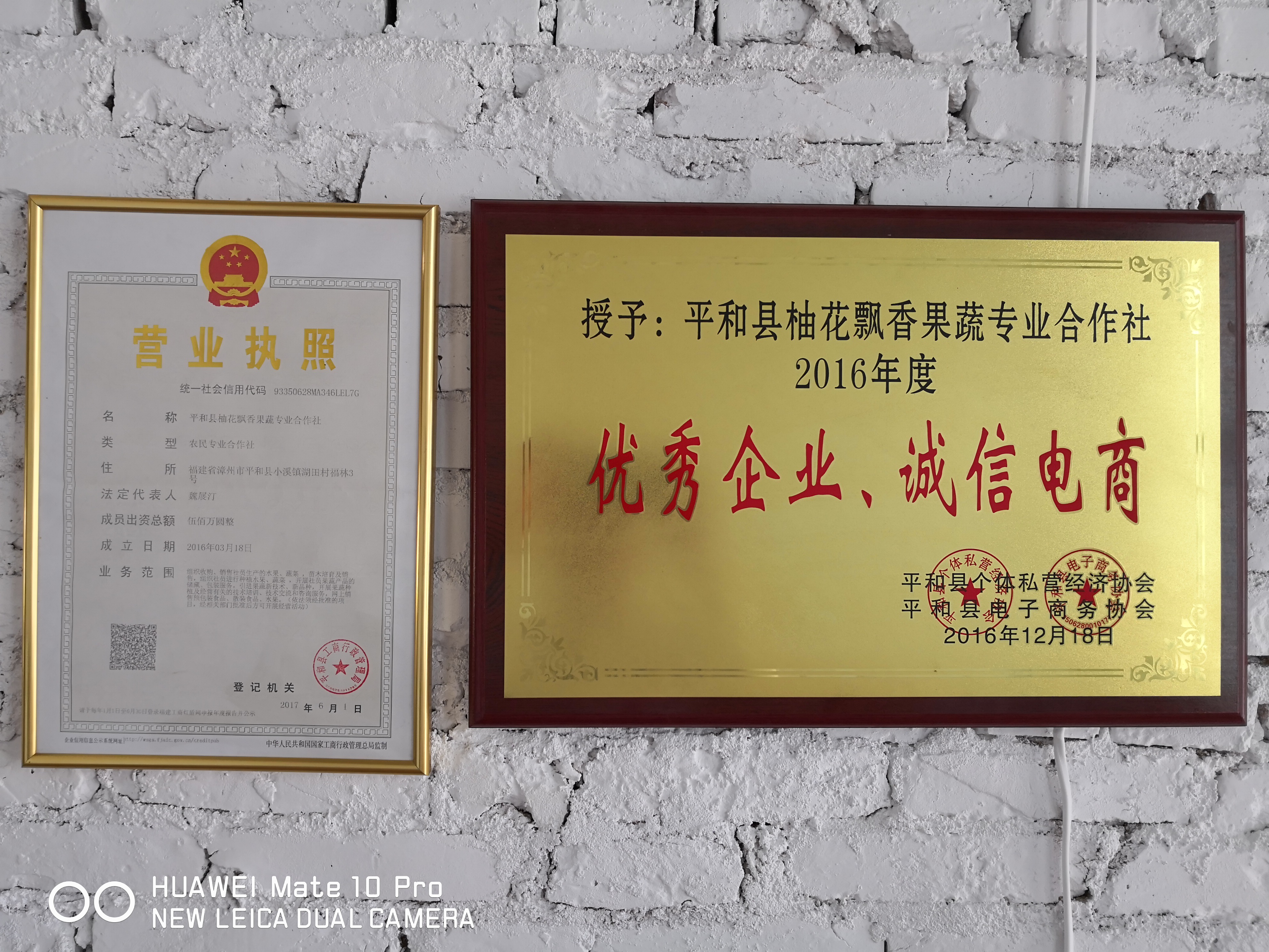 平和縣柚花飄香果蔬專業(yè)合作社