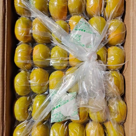平乐县广西桂林脆柿大量出货，产地直发，质量把控，诚信代办