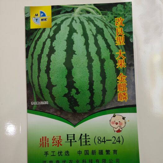 扶沟县鼎绿早佳8424西瓜种子大果改良品种金麒麟西瓜种子含糖量