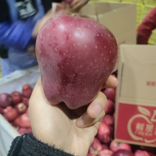 天水甘肃天水花牛苹果