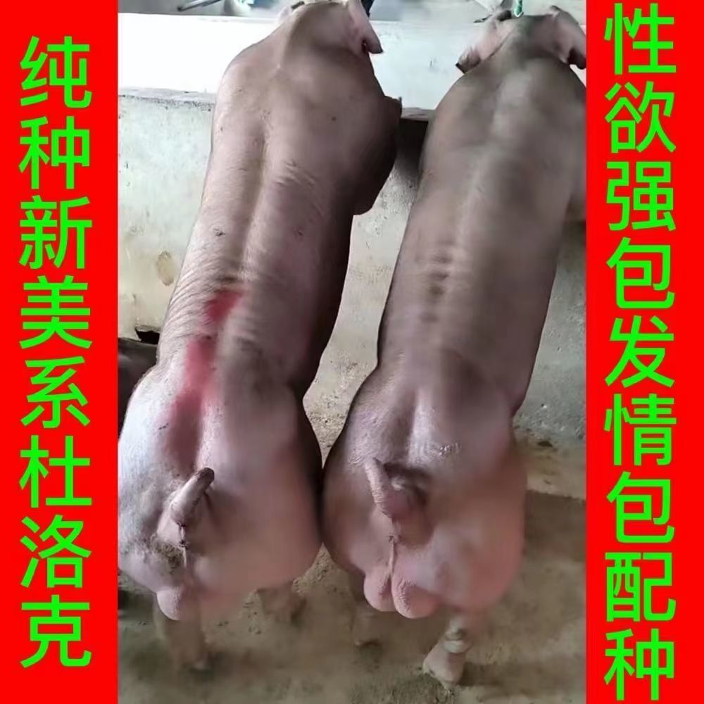 海州區(qū)萬牧豬業(yè)經(jīng)營部