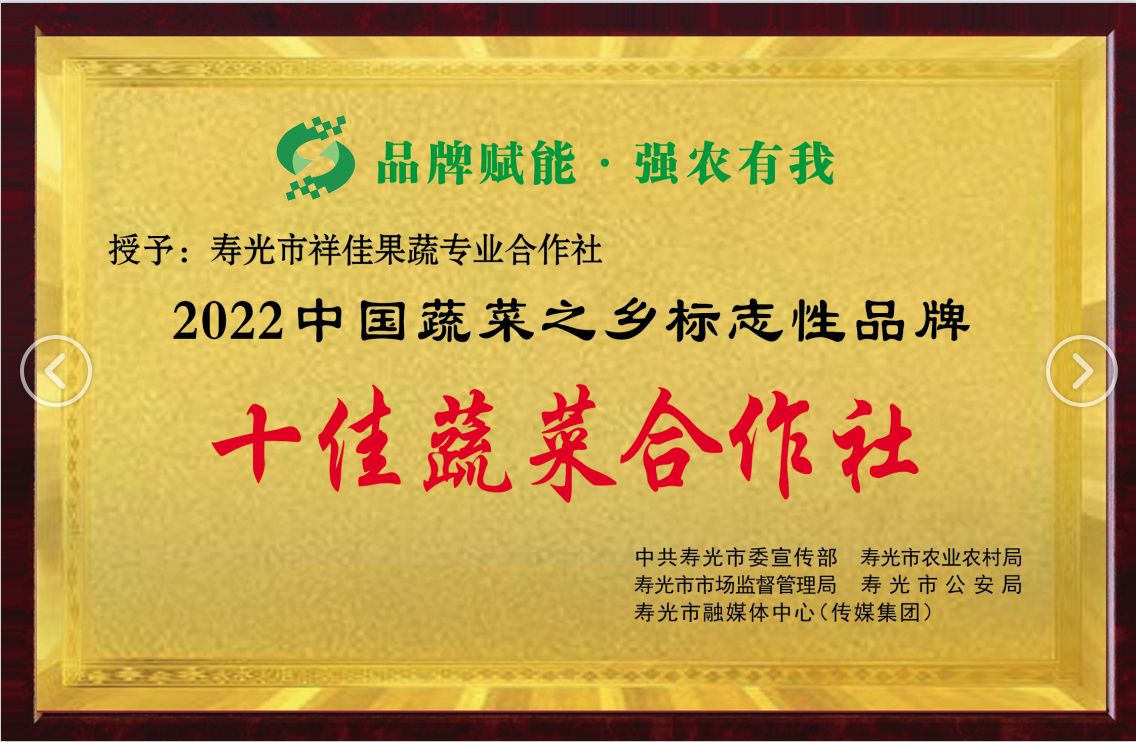 绿皮西葫芦 高温棚各种质量西葫芦，量大，价格合理，满足各种客