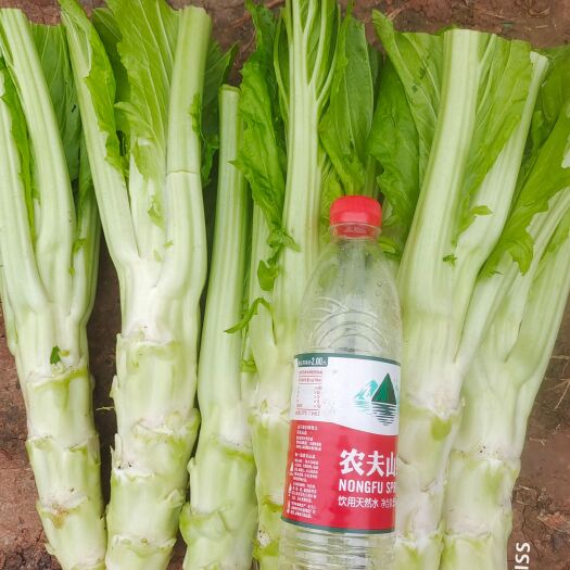仁寿县棒菜