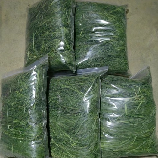 岷县烘干提摩西草兔子龙猫荷兰猪琢鼠饲料主粮