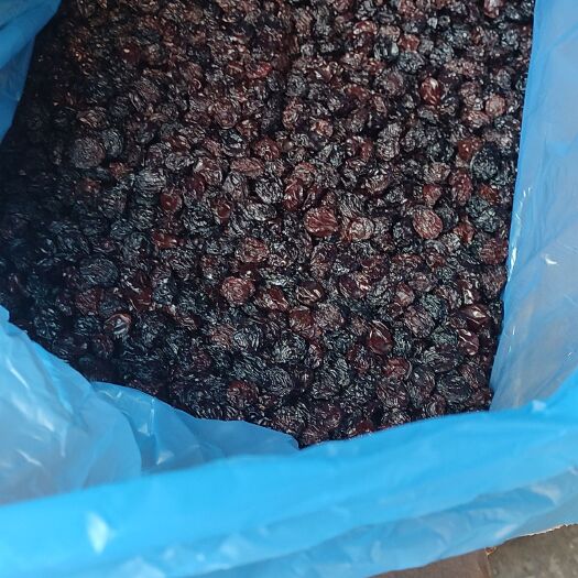 上海精品智利火焰提子干10公斤一箱正品新货中颗粒包邮