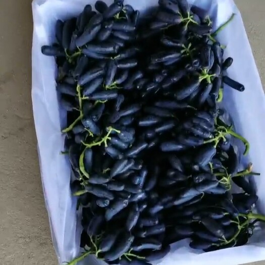 龙口市龙口蓝宝石