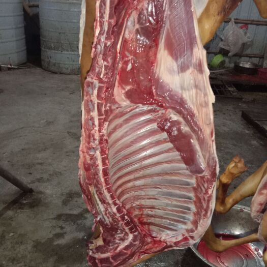 肇庆羊肉
