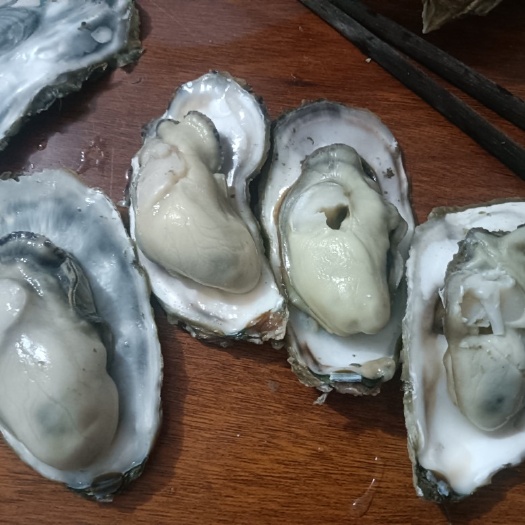 自家养殖，壳薄肉肥，物美价廉，有需要的自己来拉，3.2元一斤