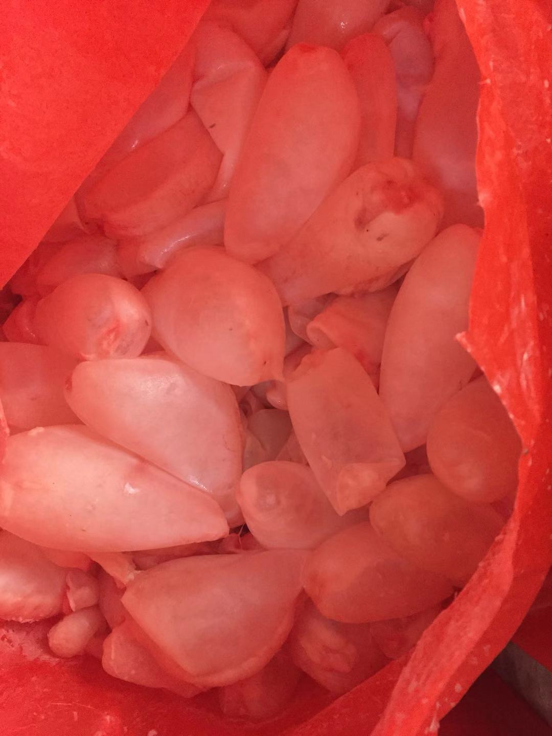 陳氏魚泡花膠魚肚產(chǎn)地直批