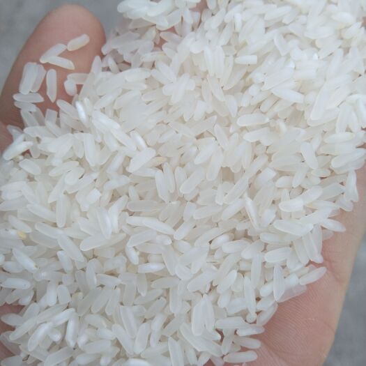 荆州新米22年本地新米标米质量稳定。大量货源充足，可长期合作。