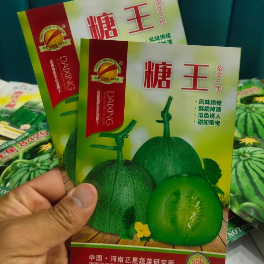糖王甜瓜种子抗病早熟含糖量20度酥脆掉渣绿皮绿肉600克