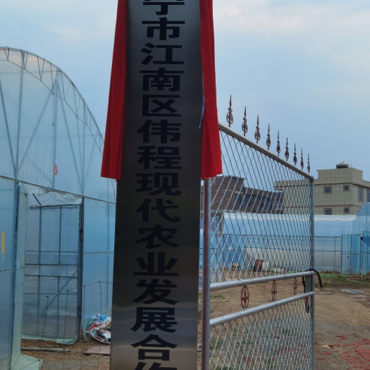 南宁常年供应西瓜嫁接苗