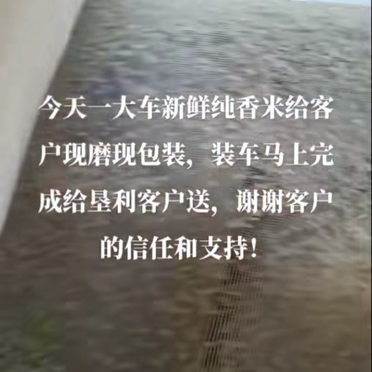 利津县黄河口香米